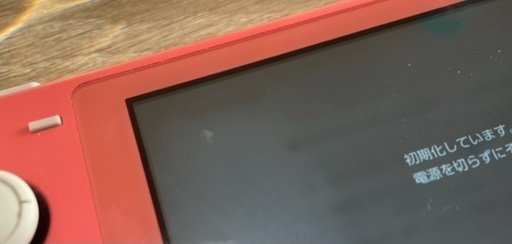 その他 Nintendo Switch Lite