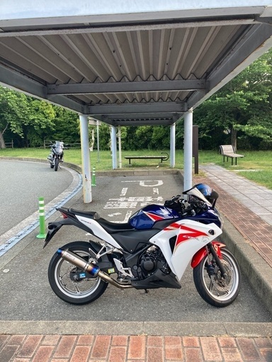 CBR250R MC41 前期型 2011年式