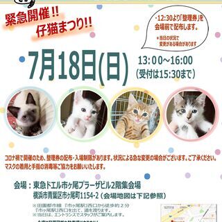 7月18日(日)おーあみ避難所譲渡会in市ヶ尾