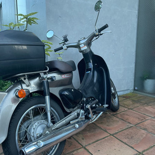 リトルカブ 50cc 4速fi 人気車種