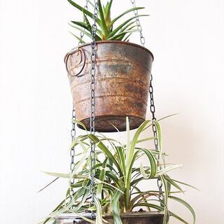 吊り下げ式　シャビ―な２連プランター　植物付き１