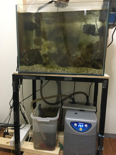 60センチオーバーフロー水槽　値下げ