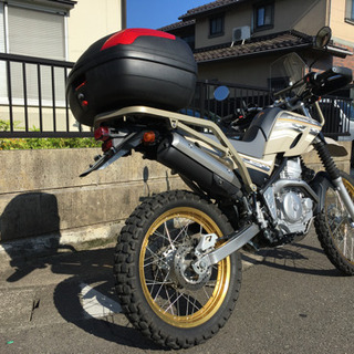 御成約売却済みヤマハ ツーリング セロー 250 DG17J 型 低走行5,400