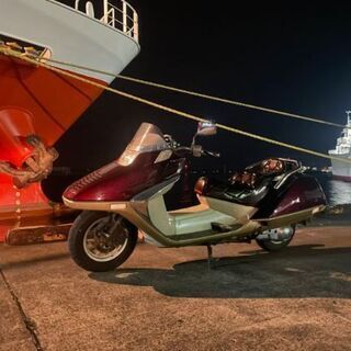 ホンダ フュージョン 車体 ビクスク