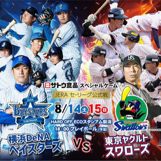 横浜ベイスターズvs東京ヤクルトスワローズ試合運営スタッフ募集