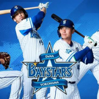 横浜ベイスターズvs東京ヤクルトスワローズ試合運営スタッフ募集 - 新潟市