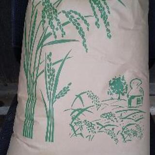玄米  米  30kg 令和２年