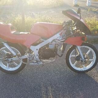 札幌発　NS1　NS-1