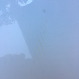 【富士市】サーフィン　ファンボード　取りに来れる方