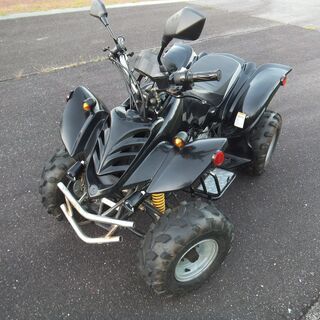 Raptor types atv quad