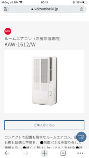 その他 koizumi
