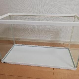 無料【武蔵小山駅近く】GEX 60cmガラス水槽（中古）※ガラス...