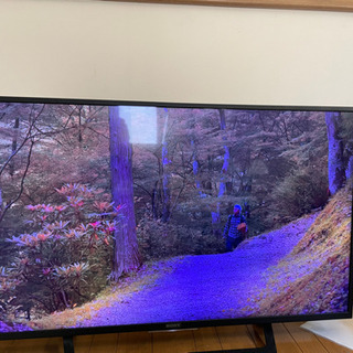 SONY 4K テレビ 訳あり 49インチ