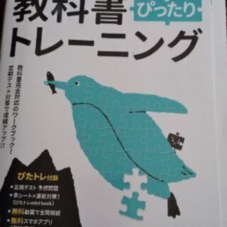 教科書ぴったりトレーニング数学1