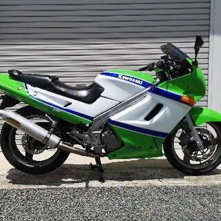 Kawssaki ZZR250 実働 カワサキカラー 【公式通販】