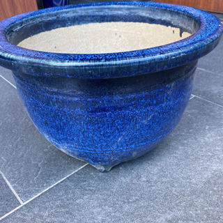 植木鉢‼️大‼️青
