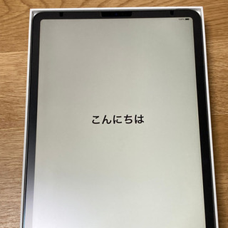 iPad Pro 1TB Wifiモデル 11インチ
