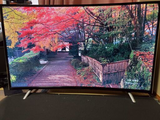 48V型 地上・BS・110度CS曲面テレビ　JOY-48TVMHL