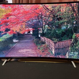48V型 地上・BS・110度CS曲面テレビ JOY-48TVMHL institutoloscher.net