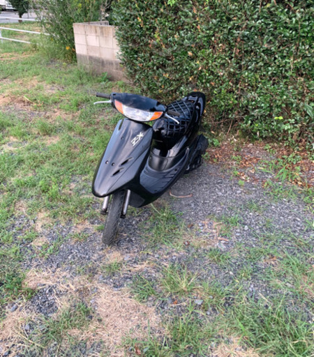 ライブディオZX仕様　原付　50cc   バイク　車体　本体