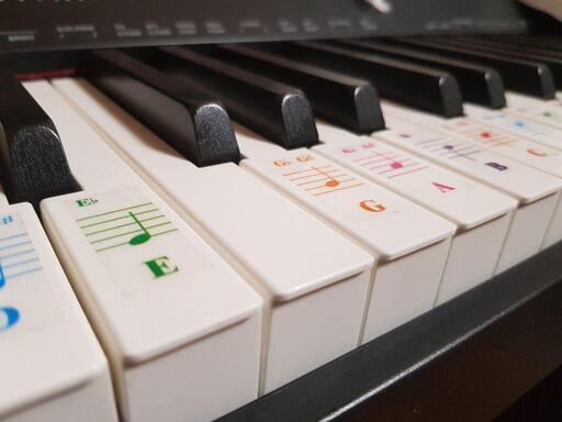 Casio Privia 160 ピアノ + ペダル +スタンド + 椅子