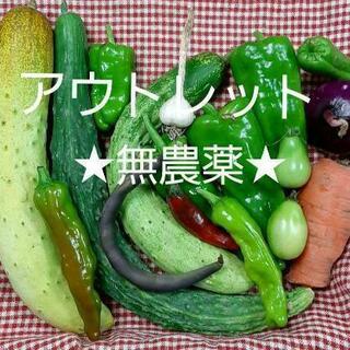 【ネット決済】アウトレット★無農薬★野菜セット