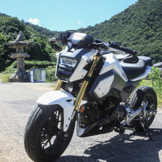 HONDA GROM グロム（JC61）USDM カスタム！