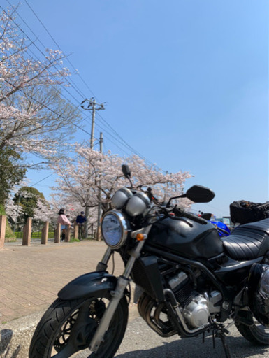 GSX250FX（バリオス2）