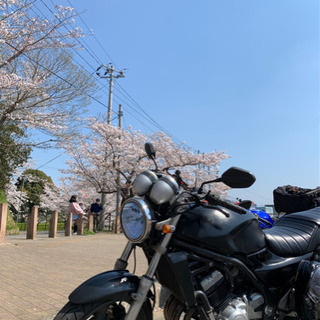 GSX250FX（バリオス2）