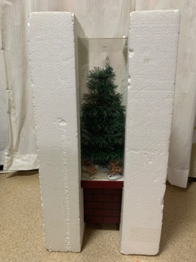 スクワットマジックとクリスマスツリー スクワットマジックとクリスマスツリー