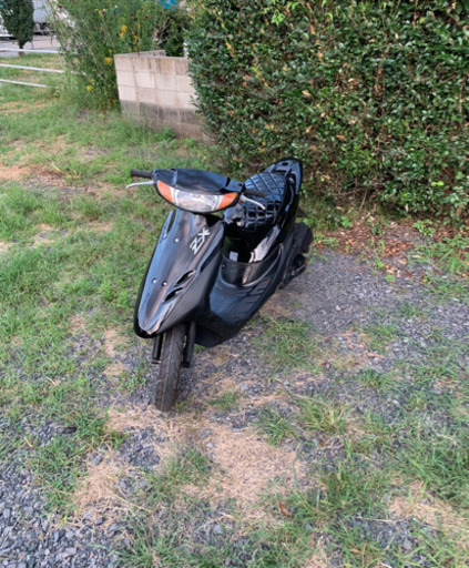 ライブディオZX仕様　50cc   バイク　車体　本体