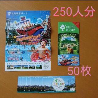入園券☆城島高原パーク☆50枚☆250名分☆入場券