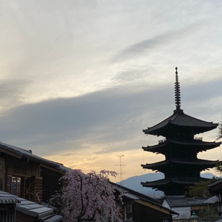 旅行好き、飲むのが好きな女友達同性の方✨