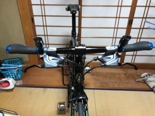 ビアンキ VIANIRONE7 サイズ55 クラリス16段変速