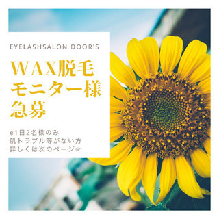 アイブロウwaxモニター🌻free🌻