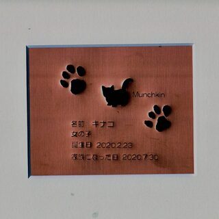 【高円寺】REGALOさんの ペットレリーフ・ペトレのオーダー受付中！わんちゃん猫ちゃんの記念に是非 - 地元のお店