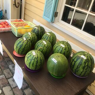 おとんの家庭菜園🍉スイカ🍈まくわうり🍅トマト販売しています！の画像