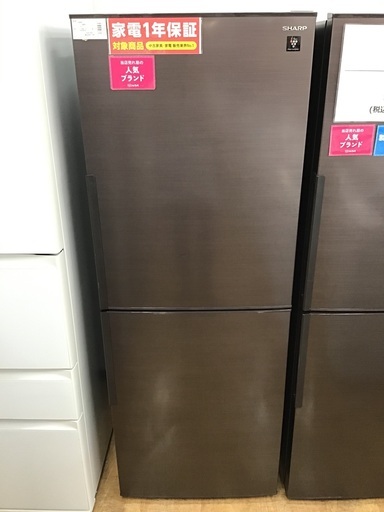【トレファク神戸新長田】SHARPの2ドア冷蔵庫です！！！【取りに来れる方限定】