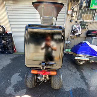 キャノピーカスタム全塗装！自賠責つき！