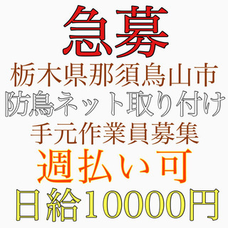 急募！栃木県那須鳥山市にて防鳥ネット取り付け作業