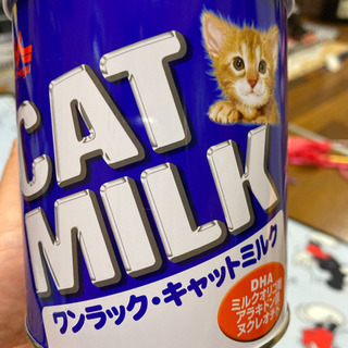 子猫用ミルク　未開封