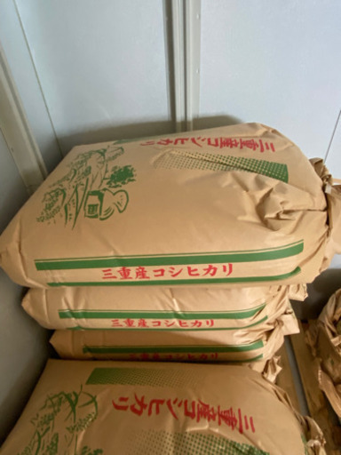 令和2年度コシヒカリ玄米30㎏を数量限定で7000円