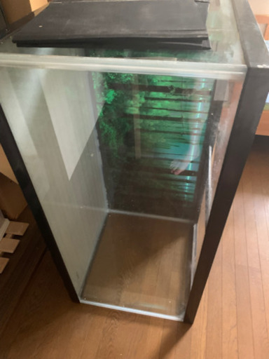 90センチ水槽