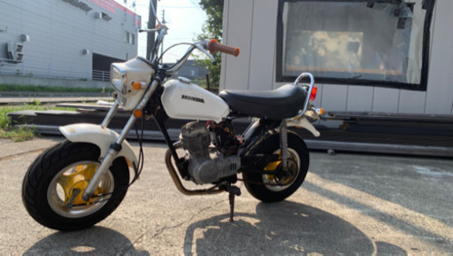 取引決定　NAUTY DAX 50