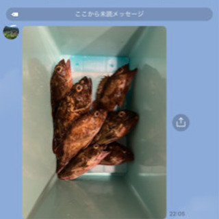 ただいま川越沖入れ食い中一緒に釣り友達募集