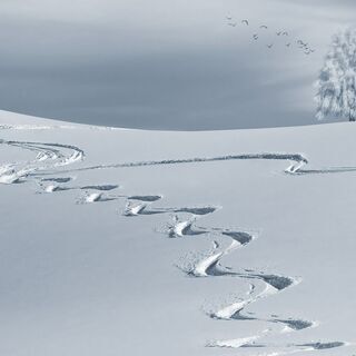 ＜急募！＞北海道の食品工場で楽しくお仕事しませんか　(外国人も可)の画像