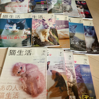 猫生活 雑誌 14冊まとめ売り