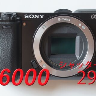 SONY A6000 ILCE-6000(シャッター数298)