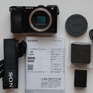 SONY α6000 ILCE-6000 ボディ◆シャッター回数3789回のみ♪ SONY α6000 ILCE-6000 ボディ◇シャッター回数3789回のみ♪ カメラ