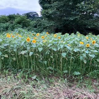 現場作業員募集します‼︎日当¥13000〜応相談